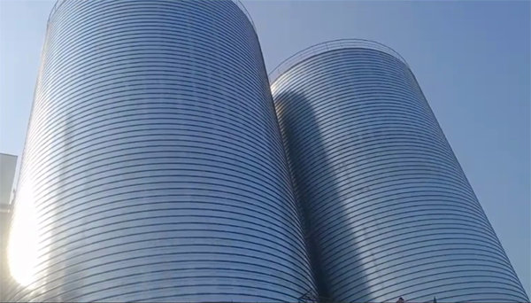 龙圩2座混凝土高架卷板仓